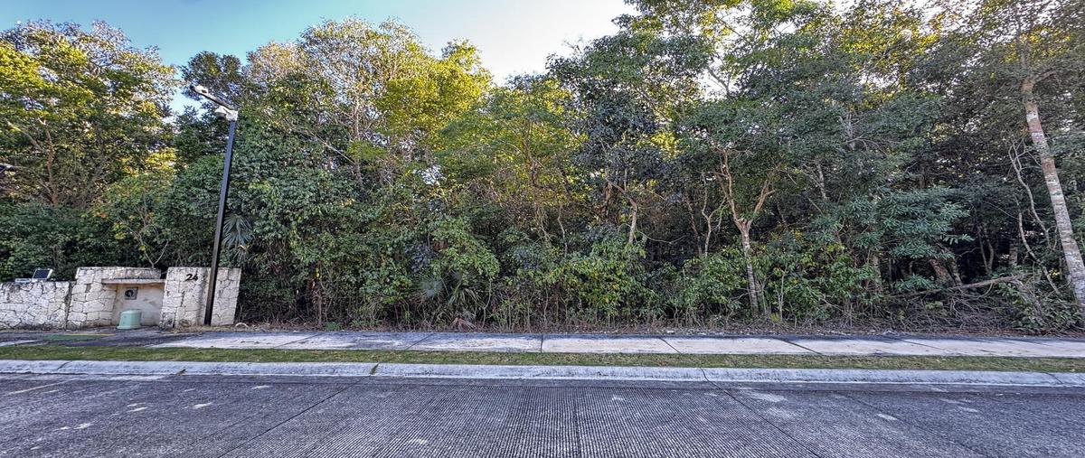 Foto de terreno habitacional en venta en  , tulum centro, tulum, quintana roo, 31618701 No. 04