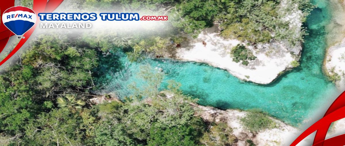 Foto de terreno comercial en tulum - coba , tulum centro, tulum, quintana roo, 29812688 foto 01 Foto de terreno comercial en venta en tulum - coba , tulum centro, tulum, quintana roo, 29812688 No. 01