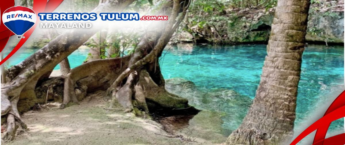 Foto de terreno comercial en tulum - coba , tulum centro, tulum, quintana roo, 29812688 foto 02 Foto de terreno comercial en venta en tulum - coba , tulum centro, tulum, quintana roo, 29812688 No. 02