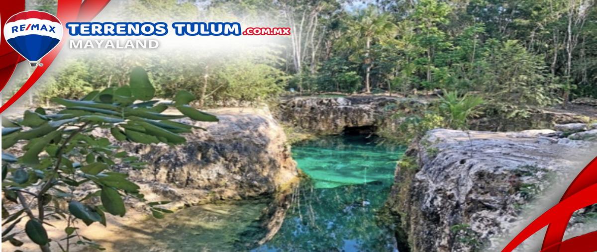 Foto de terreno comercial en tulum - coba , tulum centro, tulum, quintana roo, 29812688 foto 03 Foto de terreno comercial en venta en tulum - coba , tulum centro, tulum, quintana roo, 29812688 No. 03