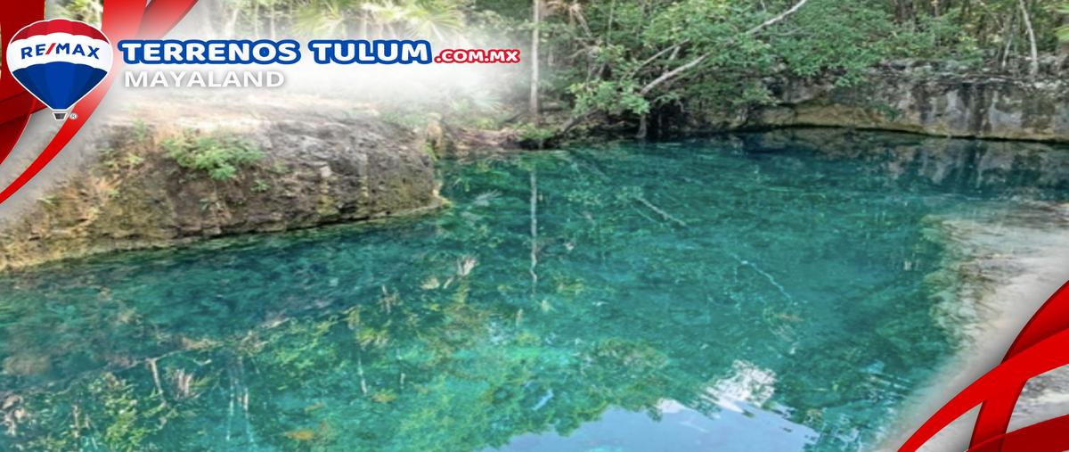 Foto de terreno comercial en tulum - coba , tulum centro, tulum, quintana roo, 29812688 foto 04 Foto de terreno comercial en venta en tulum - coba , tulum centro, tulum, quintana roo, 29812688 No. 04