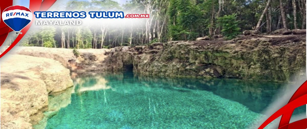 Foto de terreno comercial en tulum - coba , tulum centro, tulum, quintana roo, 29812688 foto 05 Foto de terreno comercial en venta en tulum - coba , tulum centro, tulum, quintana roo, 29812688 No. 05