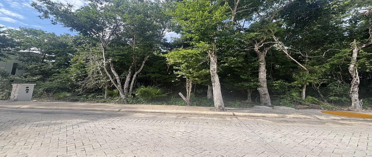 Foto de terreno habitacional en venta en tulum country club , akumal, tulum, quintana roo, 0 No. 04
