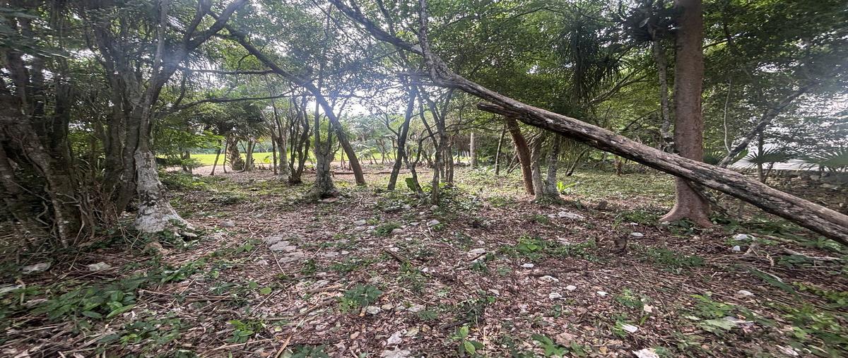 Foto de terreno habitacional en venta en tulum country club , akumal, tulum, quintana roo, 0 No. 03