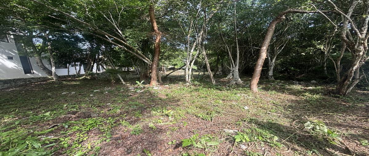 Foto de terreno habitacional en venta en tulum country club , akumal, tulum, quintana roo, 0 No. 04