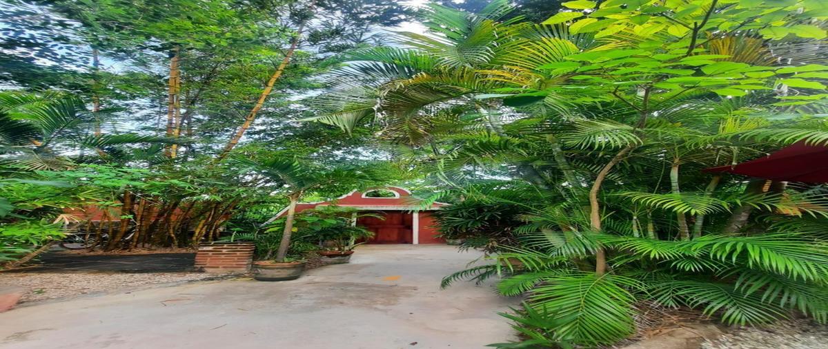 Foto de rancho en venta en tulum m24a lote 3 , tulum centro, tulum, quintana roo, 27016979 No. 04