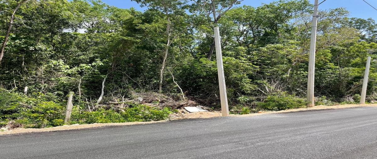 Foto de terreno comercial en tulum. qro , tumben kaa, tulum, quintana roo, 30266898 foto 01 Foto de terreno comercial en venta en tulum. qro , tumben kaa, tulum, quintana roo, 30266898 No. 01