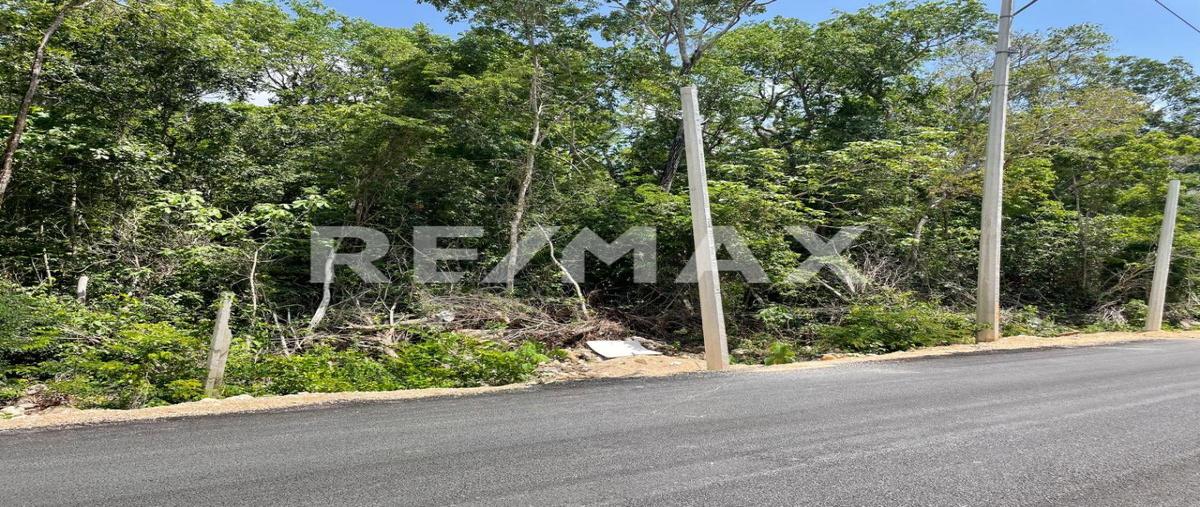 Foto de terreno comercial en venta en tulum. qro , tumben kaa, tulum, quintana roo, 30266899 No. 01