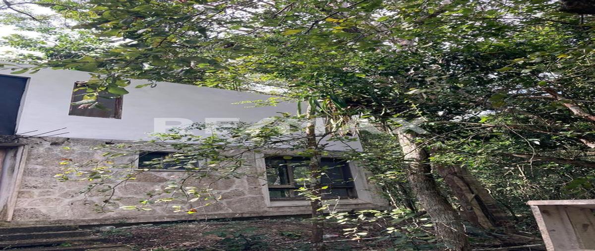 Foto de casa en venta en tulum , tulum centro, tulum, quintana roo, 0 No. 04