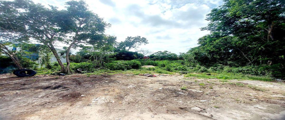 Foto de terreno habitacional en venta en  , tumben kaa, tulum, quintana roo, 0 No. 05