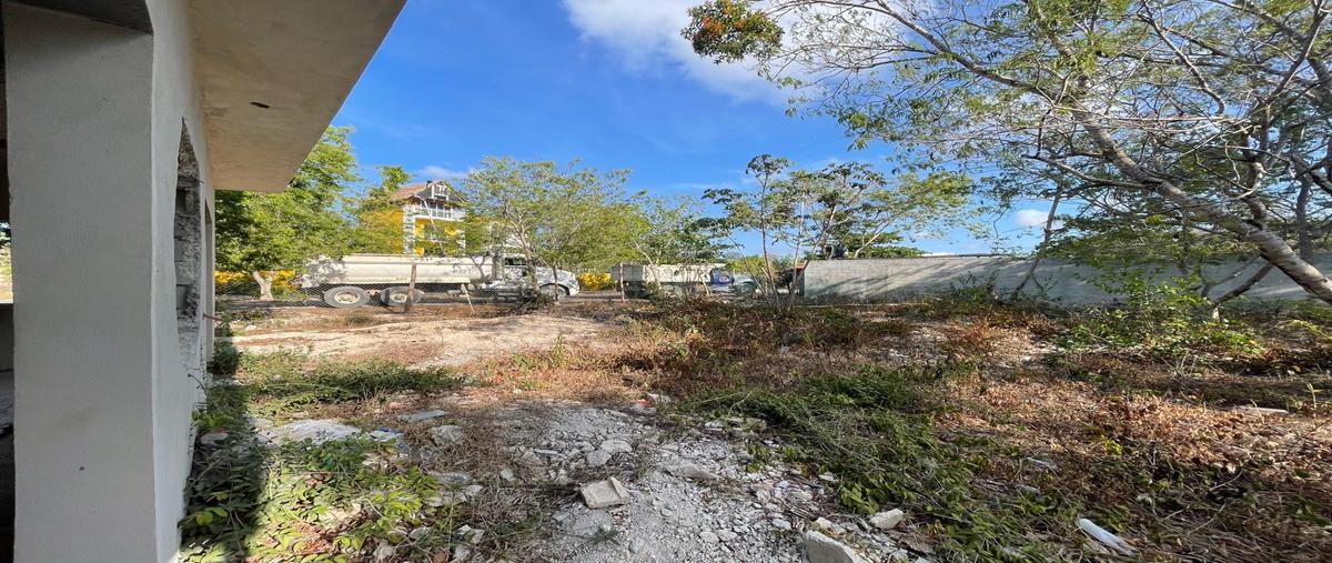 Foto de casa en , tumben kaa, tulum, quintana roo, 29919018 foto 02 Foto de casa en renta en , tumben kaa, tulum, quintana roo, 29919018 No. 02