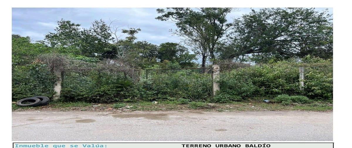 Foto de terreno habitacional en venta en  , tumben kaa, tulum, quintana roo, 0 No. 03