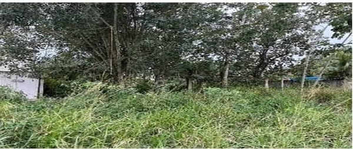 Foto de terreno habitacional en , tumben kaa, tulum, quintana roo, 0 foto 03 Foto de terreno habitacional en venta en , tumben kaa, tulum, quintana roo, 0 No. 03