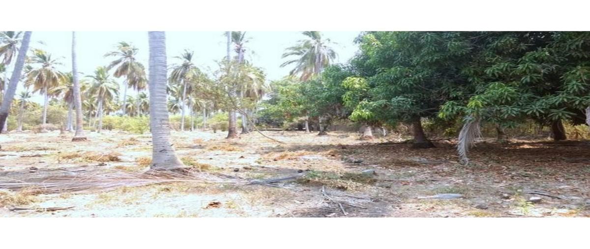Foto de terreno habitacional en , tuncingo, acapulco de juárez, guerrero, 7281039 foto 02 Foto de terreno habitacional en venta en , tuncingo, acapulco de juárez, guerrero, 7281039 No. 02