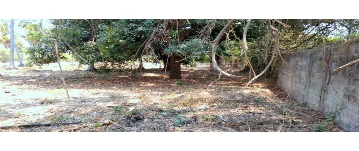 Foto de terreno habitacional en , tuncingo, acapulco de juárez, guerrero, 7281039 foto 04 Foto de terreno habitacional en venta en , tuncingo, acapulco de juárez, guerrero, 7281039 No. 04