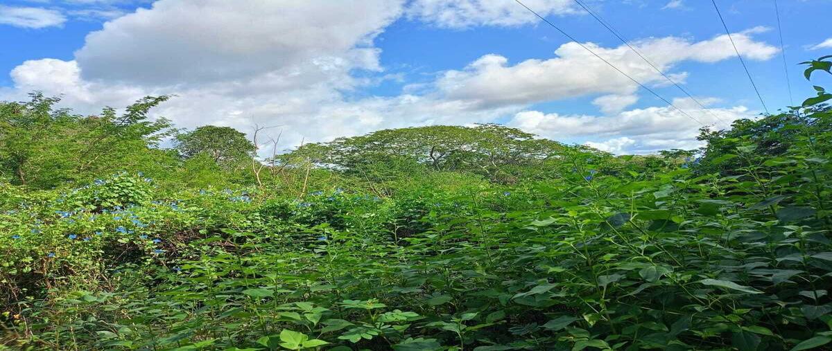 Foto de terreno habitacional en venta en  , tunkas, tunkás, yucatán, 0 No. 03