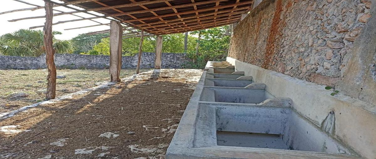 Foto de rancho en venta en  , tunkas, tunkás, yucatán, 0 No. 05