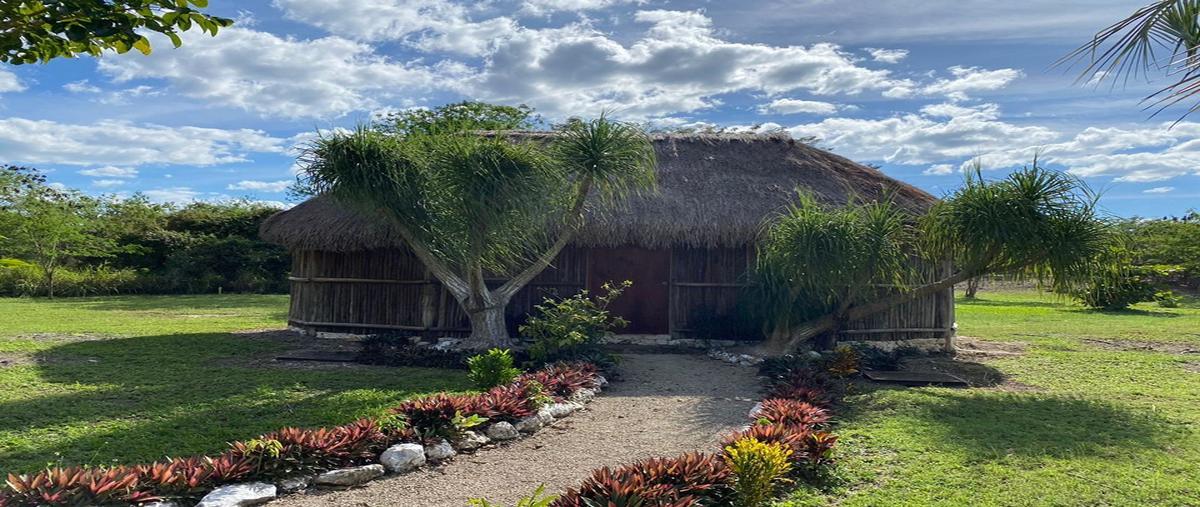 Foto de casa en venta en tunkas whi292904, tunkas, tunkás, yucatán, 26014292 No. 05