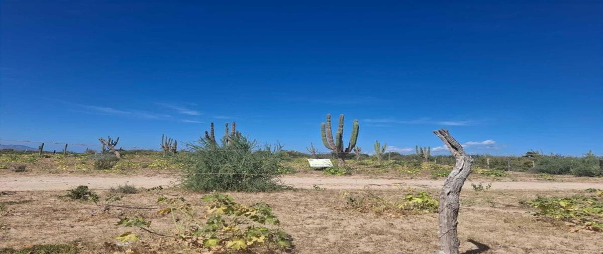 Foto de terreno habitacional en turquesa bay lot 305, bahía turquesa 04-029, la pa , la ventana, la paz, baja california sur, 30750693 foto 02 Foto de terreno habitacional en venta en turquesa bay lot 305, bahía turquesa 04-029, la pa , la ventana, la paz, baja california sur, 30750693 No. 02