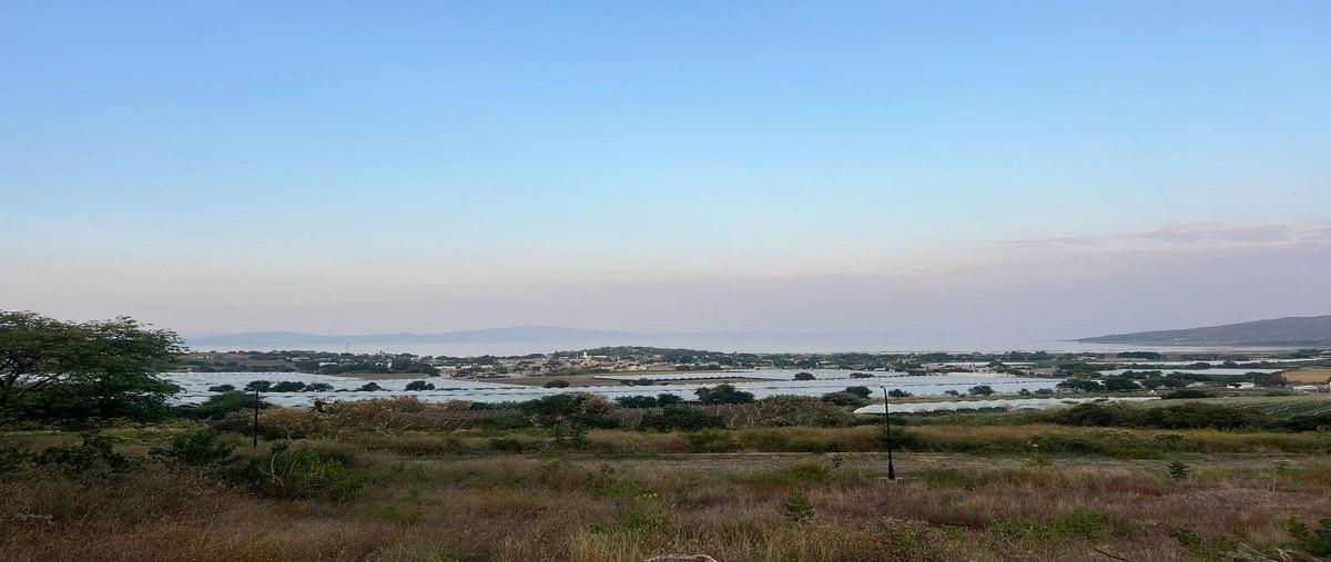 Foto de terreno habitacional en venta en  , tuxcueca, tuxcueca, jalisco, 31081324 No. 04