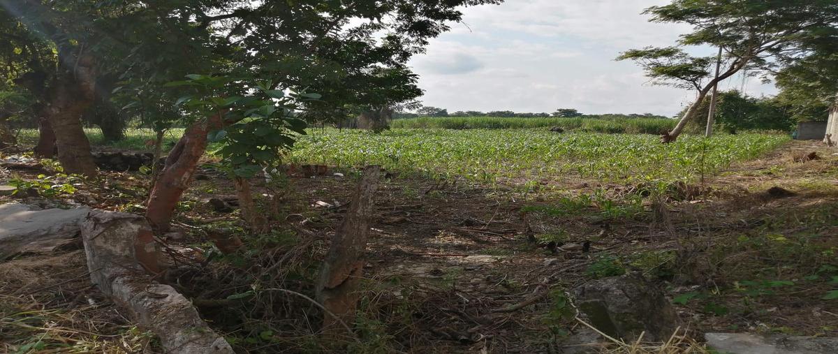 Foto de terreno habitacional en , tuxtepec, san juan bautista tuxtepec, oaxaca, 20934993 foto 01 Foto de terreno habitacional en venta en , tuxtepec, san juan bautista tuxtepec, oaxaca, 20934993 No. 01