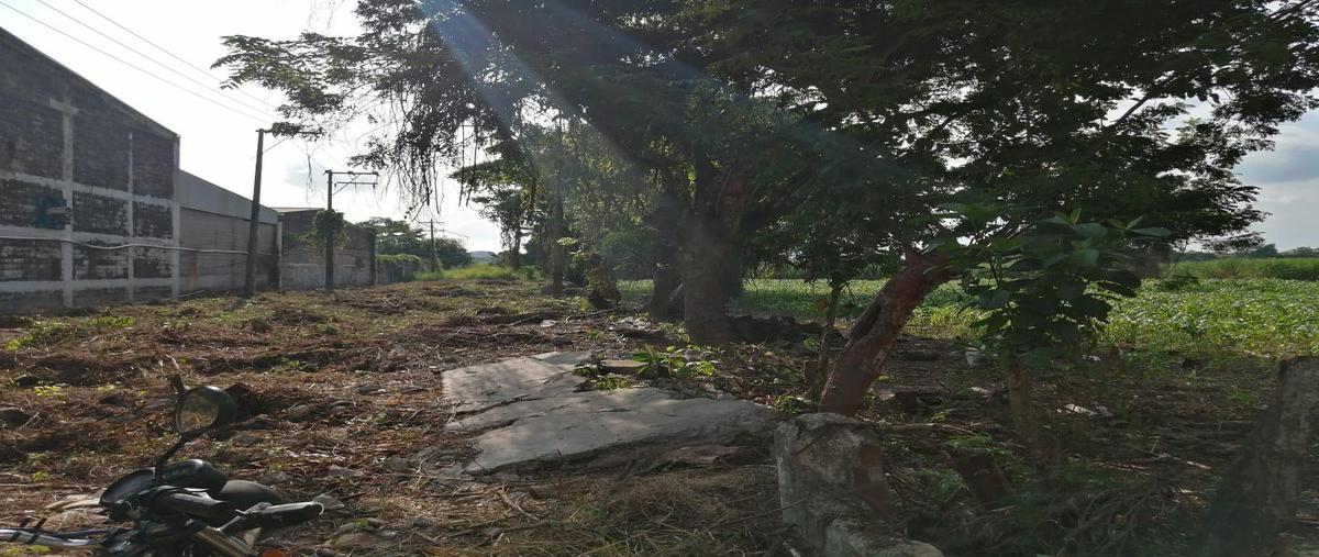 Foto de terreno habitacional en , tuxtepec, san juan bautista tuxtepec, oaxaca, 20934993 foto 05 Foto de terreno habitacional en venta en , tuxtepec, san juan bautista tuxtepec, oaxaca, 20934993 No. 05