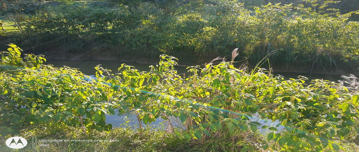 Foto de terreno habitacional en venta en  , tuxtepec, san juan bautista tuxtepec, oaxaca, 20935237 No. 05