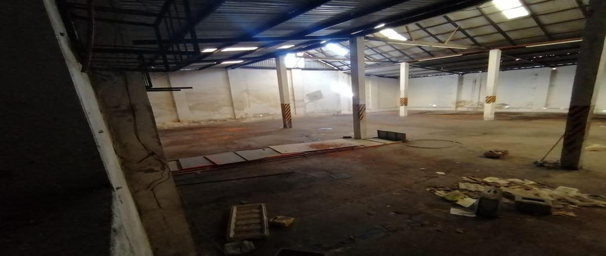 Foto de bodega en venta en  , tuxtepec, san juan bautista tuxtepec, oaxaca, 27770700 No. 03