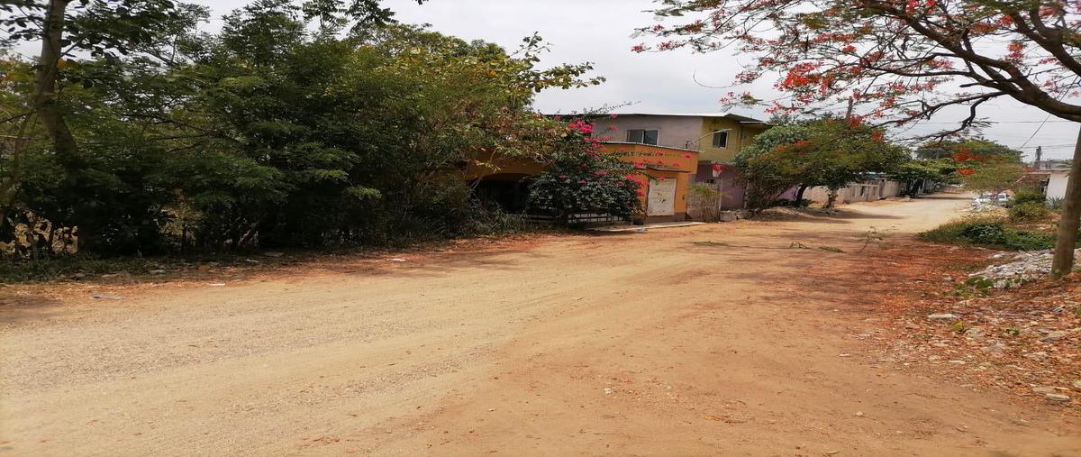Foto de terreno habitacional en venta en  , tuxtepec, san juan bautista tuxtepec, oaxaca, 28223596 No. 04