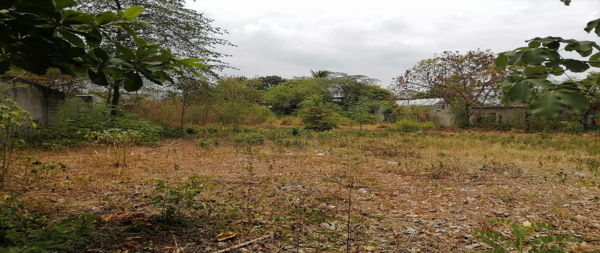 Foto de terreno habitacional en venta en  , tuxtepec, san juan bautista tuxtepec, oaxaca, 28223596 No. 05