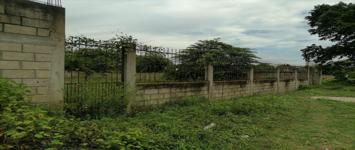 Foto de terreno habitacional en venta en  , tuxtepec, san juan bautista tuxtepec, oaxaca, 28346791 No. 05