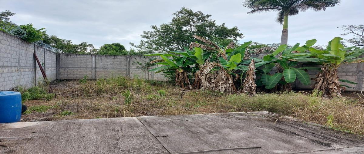 Foto de terreno habitacional en venta en  , tuxtepec, san juan bautista tuxtepec, oaxaca, 0 No. 03