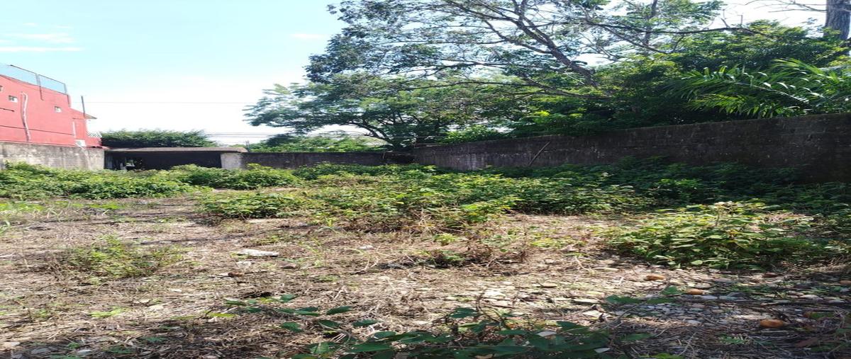 Foto de terreno habitacional en venta en  , tuxtepec, san juan bautista tuxtepec, oaxaca, 0 No. 03