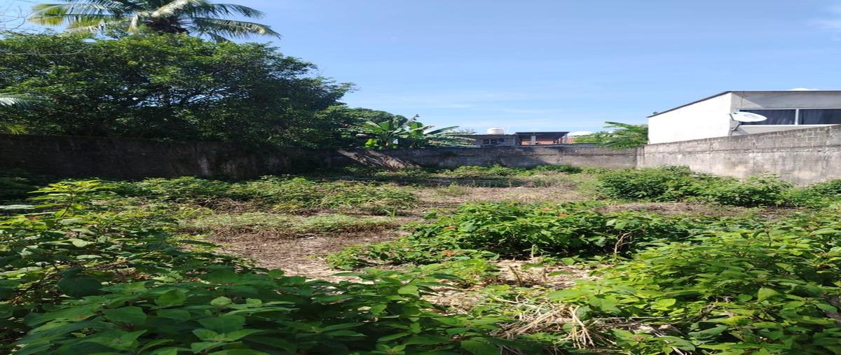Foto de terreno habitacional en venta en  , tuxtepec, san juan bautista tuxtepec, oaxaca, 0 No. 04