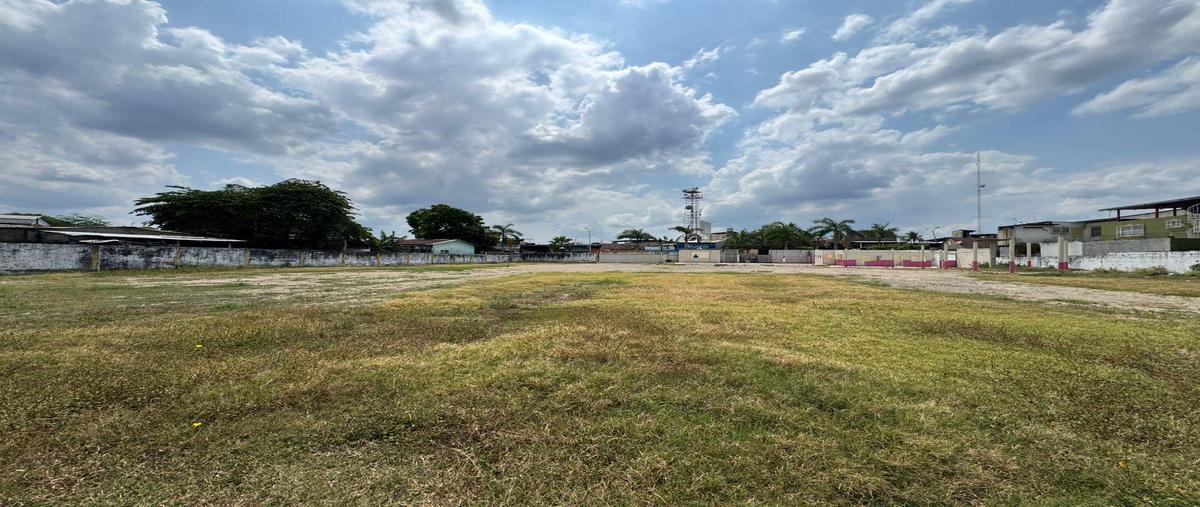 Foto de terreno habitacional en renta en  , tuxtepec, san juan bautista tuxtepec, oaxaca, 30970246 No. 05