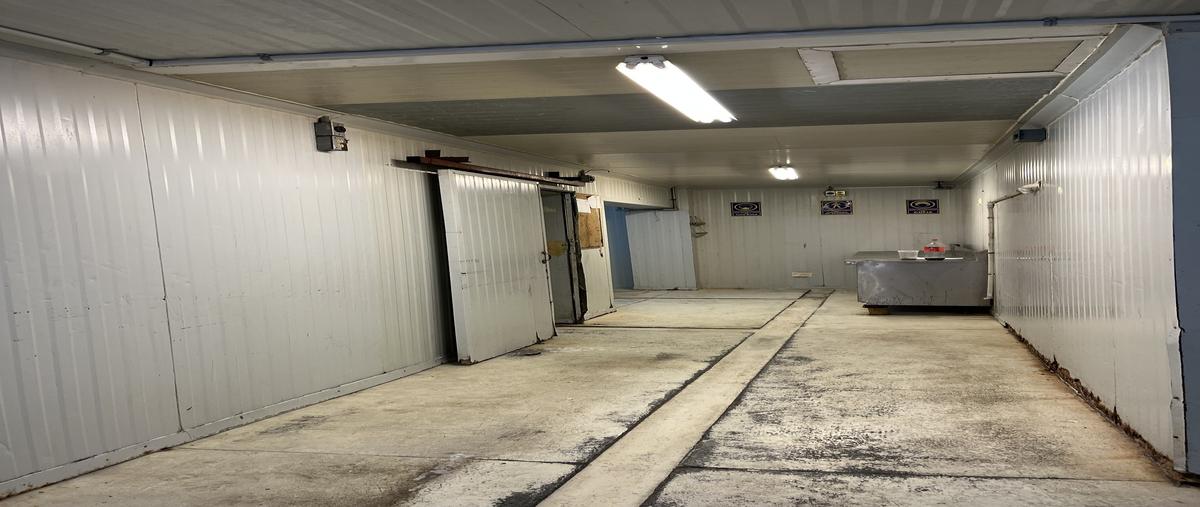 Foto de bodega en renta en tuxtla , mitras norte, monterrey, nuevo león, 29861086 No. 05