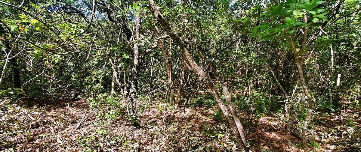 Foto de rancho en venta en  , tzimol, tzimol, chiapas, 0 No. 04