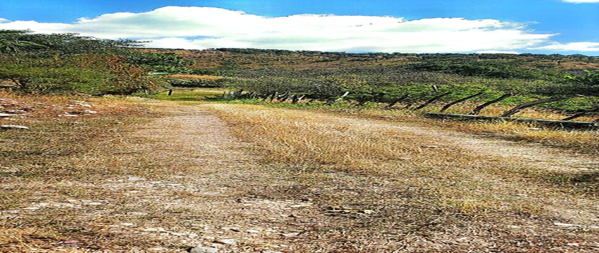 Foto de rancho en venta en  , tzimol, tzimol, chiapas, 0 No. 05