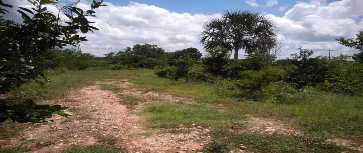 Foto de terreno habitacional en venta en  , tzucacab centro, tzucacab, yucatán, 27686413 No. 05