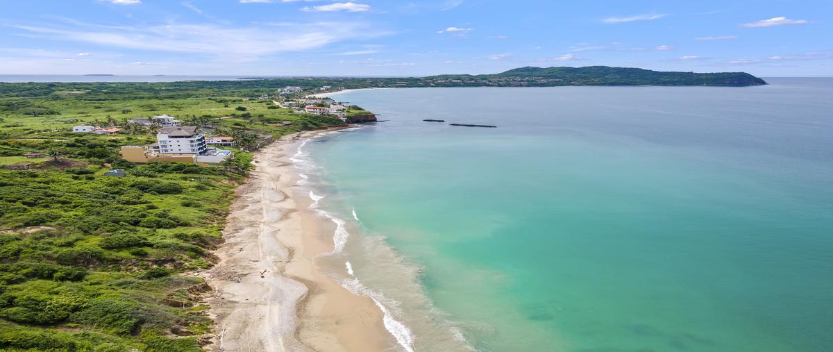 Foto de departamento en uavi luxury residences, litibu punta mita , higuera blanca, bahía de banderas, nayarit, 28622776 foto 03 Foto de departamento en venta en uavi luxury residences, litibu punta mita , higuera blanca, bahía de banderas, nayarit, 28622776 No. 03