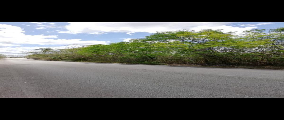 Foto de terreno habitacional en venta en uayma whi9899, uayma, uayma, yucatán, 0 No. 03