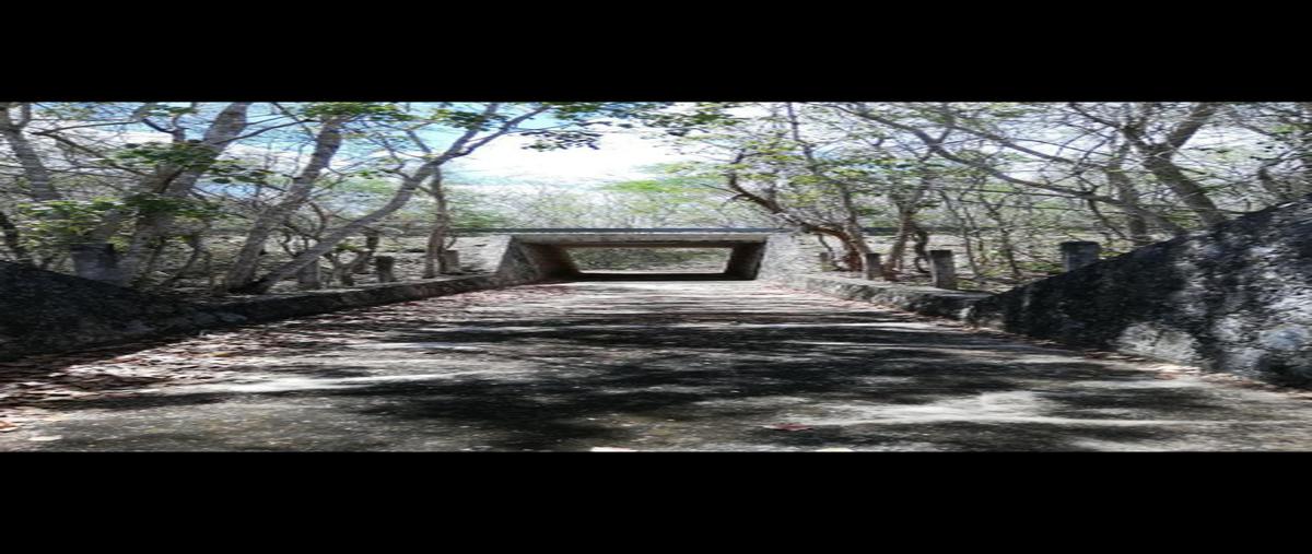 Foto de terreno habitacional en venta en uayma whi9899, uayma, uayma, yucatán, 0 No. 04