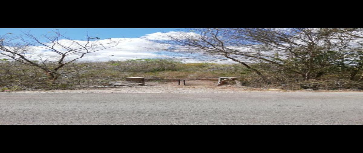 Foto de terreno habitacional en venta en uayma whi9899, uayma, uayma, yucatán, 0 No. 05