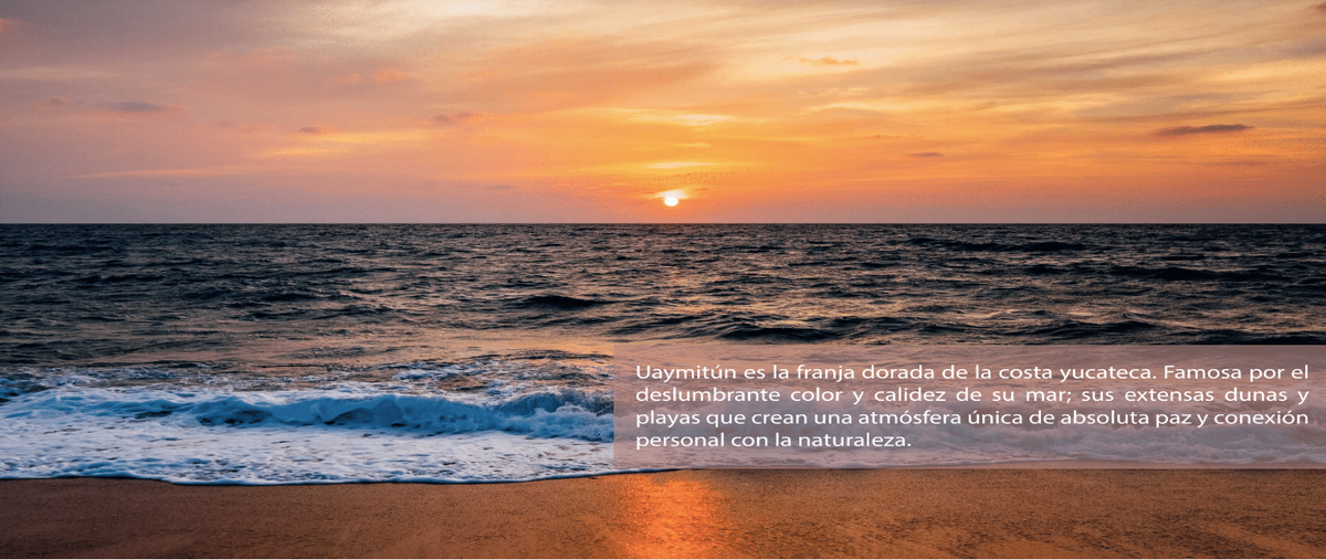 Foto de departamento en venta en  , uaymitun, ixil, yucatán, 23616698 No. 03