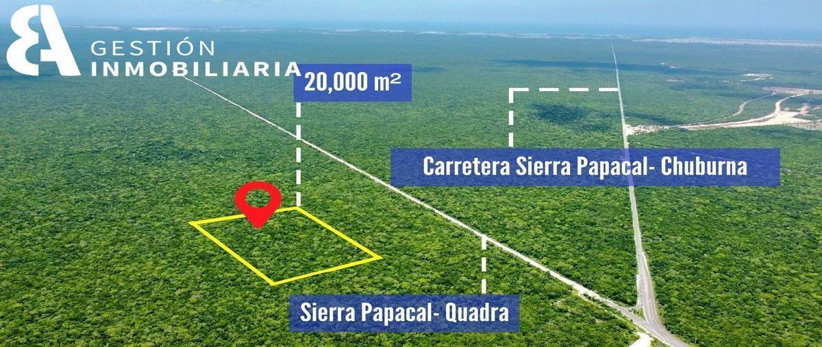 Foto de terreno habitacional en , ucu, ucú, yucatán, 25264559 foto 03 Foto de terreno habitacional en venta en , ucu, ucú, yucatán, 25264559 No. 03