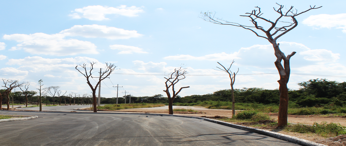 Foto de terreno industrial en , ucu, ucú, yucatán, 26200826 foto 03 Foto de terreno industrial en venta en , ucu, ucú, yucatán, 26200826 No. 03