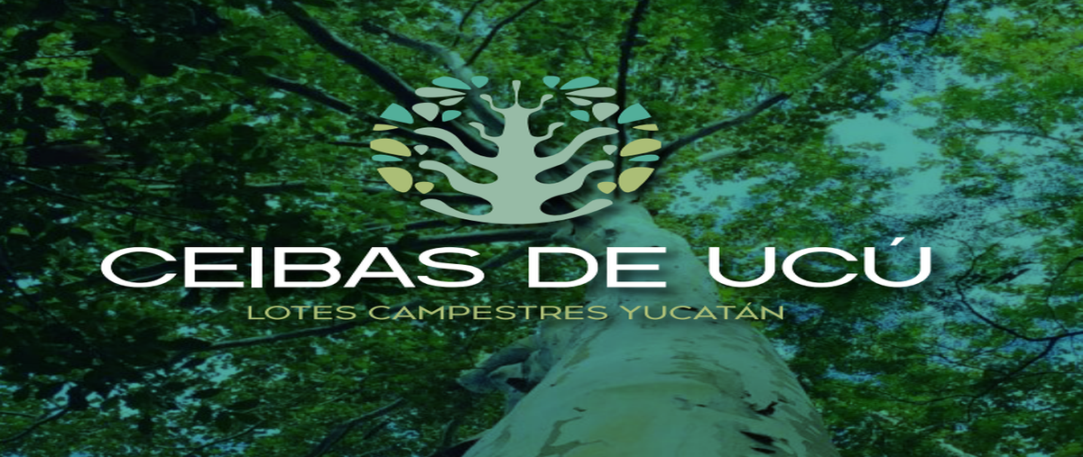 Foto de terreno habitacional en , ucu, ucú, yucatán, 27240498 foto 01 Foto de terreno habitacional en venta en , ucu, ucú, yucatán, 27240498 No. 01