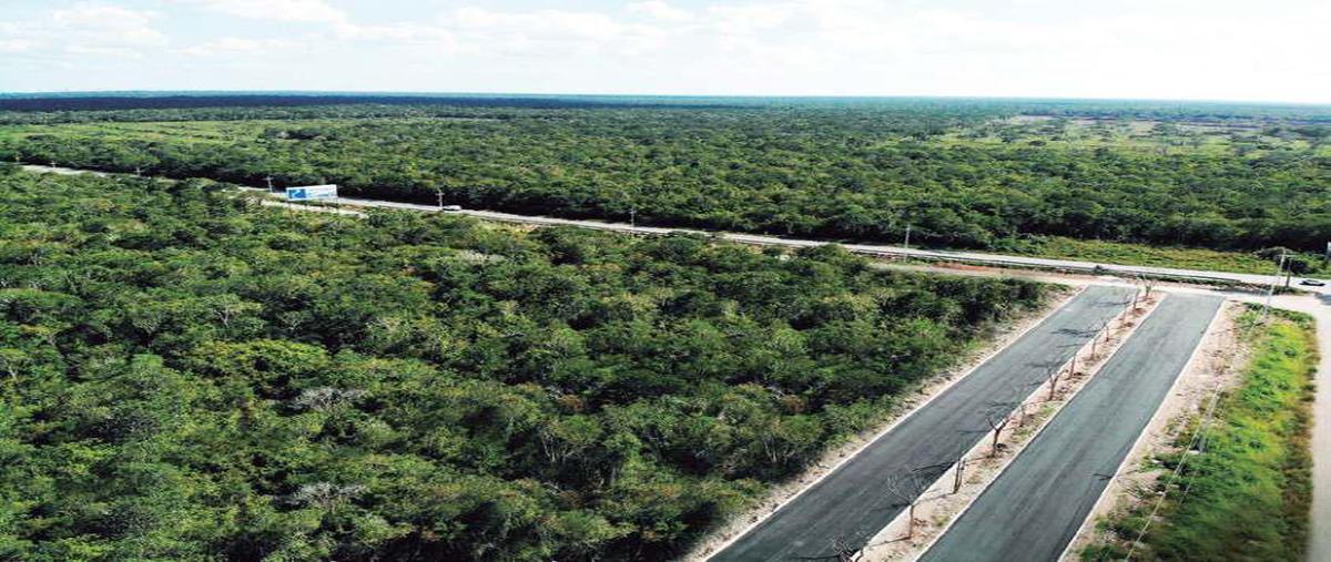 Foto de terreno habitacional en venta en  , ucu, ucú, yucatán, 0 No. 04