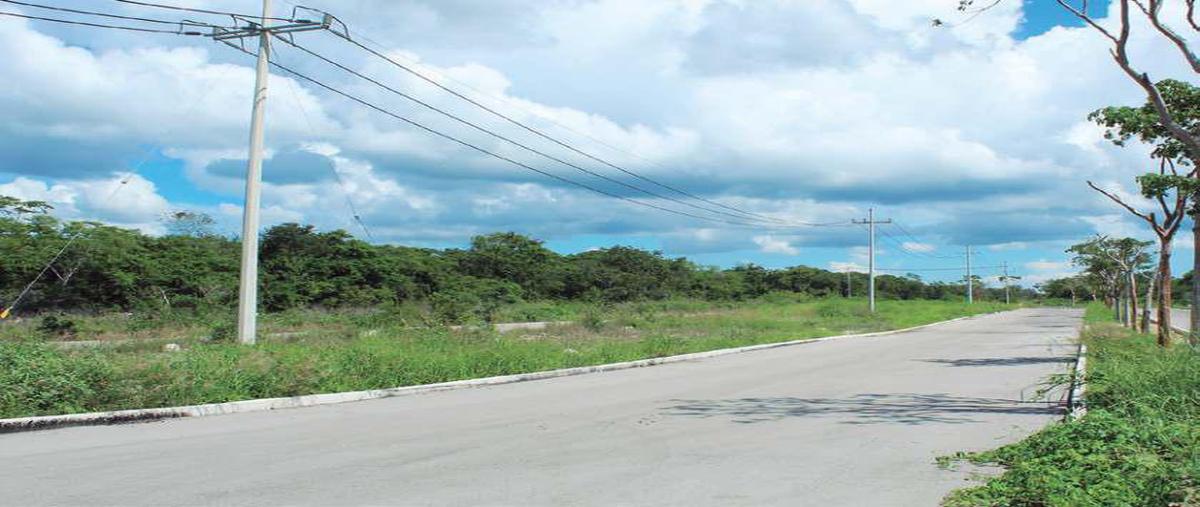 Foto de terreno habitacional en venta en  , ucu, ucú, yucatán, 0 No. 05