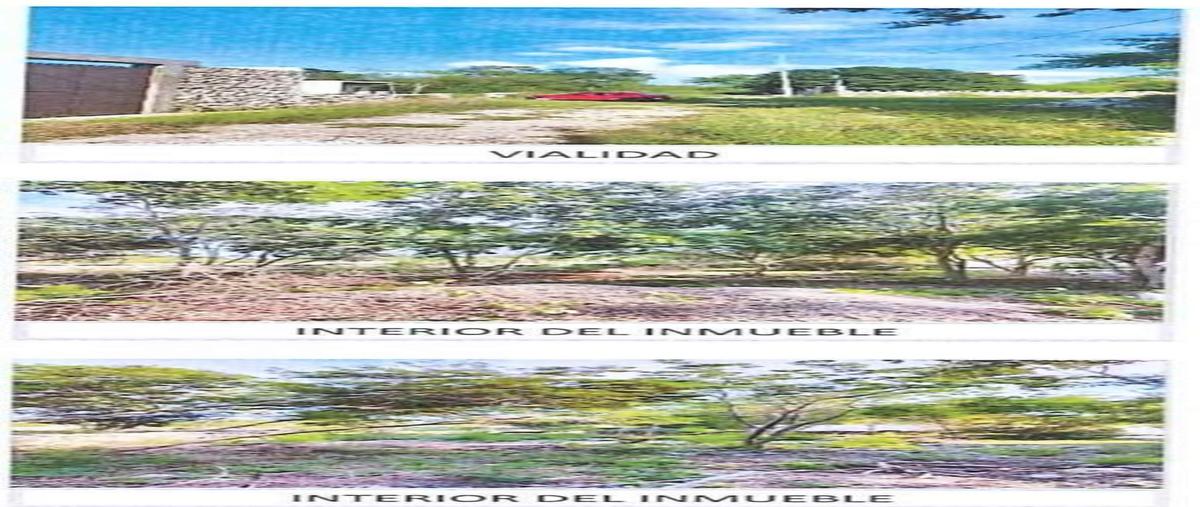 Foto de terreno habitacional en renta en  , ucu, ucú, yucatán, 27611195 No. 05
